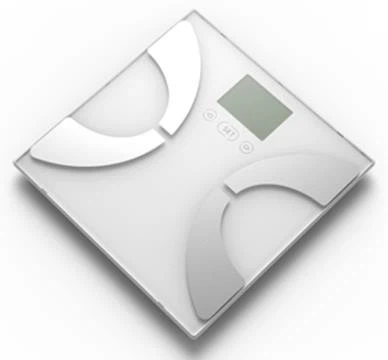 Portable Body Fat Calculator